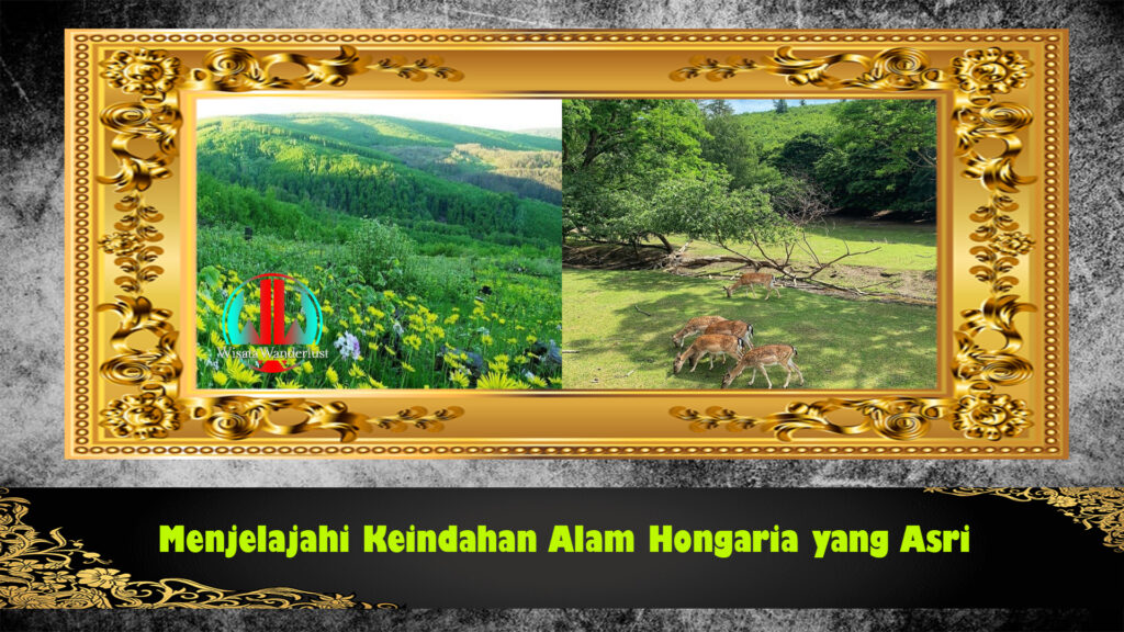 Menjelajahi Keindahan Alam